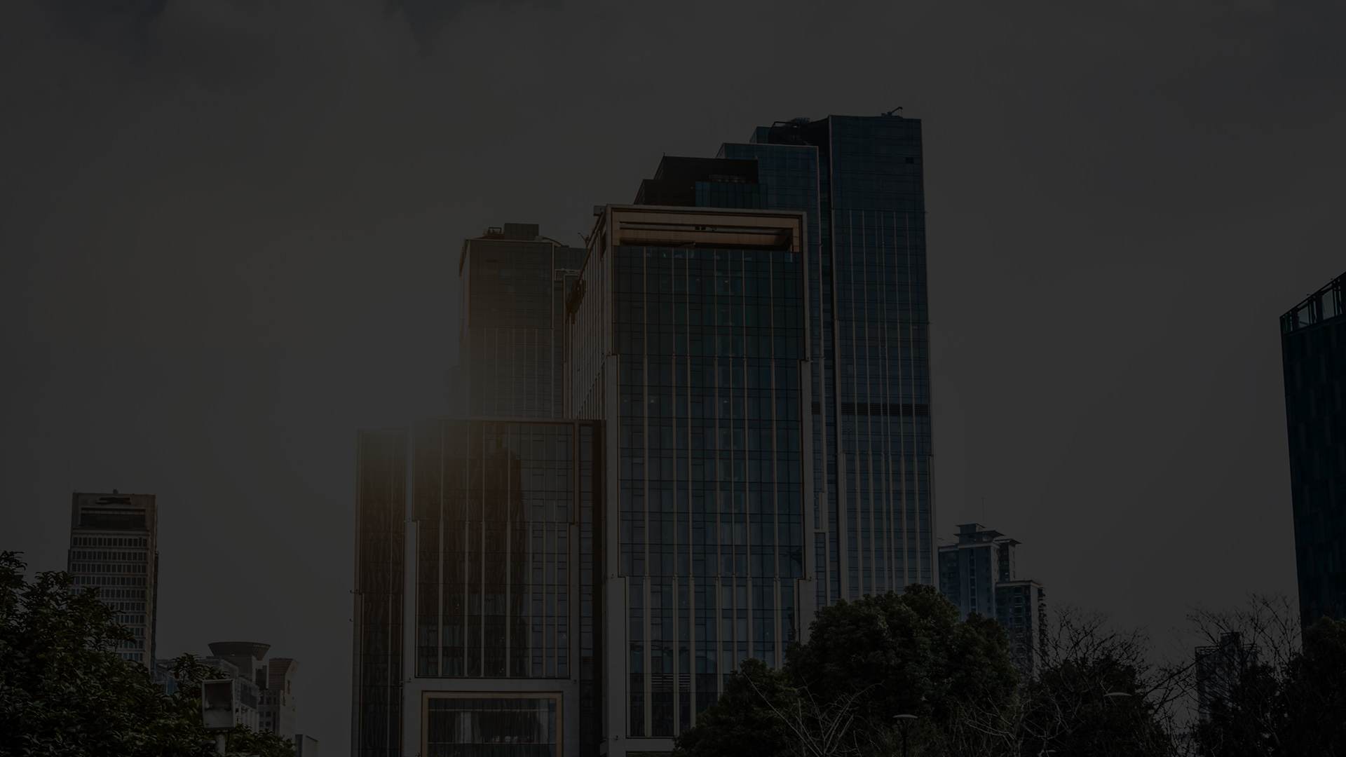 Project Management & Consulting